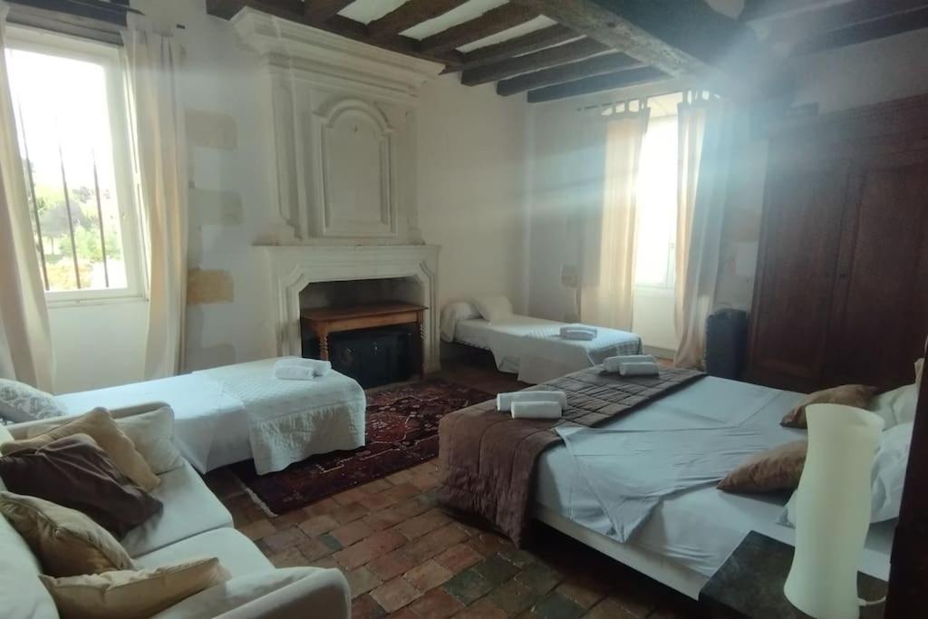 Domaine Du Prieure Saint Ellier Villa Charcé-Saint-Ellier-sur-Aubance Eksteriør billede