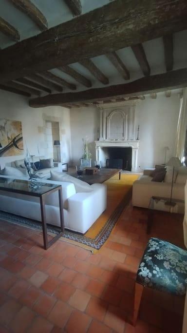 Domaine Du Prieure Saint Ellier Villa Charcé-Saint-Ellier-sur-Aubance Eksteriør billede